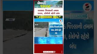 Valsad News | વલસાડ જિલ્લાની તમામ શાળા, કોલેજો રહેશે બંધ | Heavy Rain | Holiday | School College