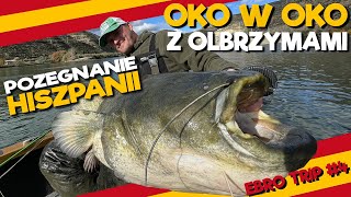 Oko w oko z OLBRZYMAMI / Pożegnanie z Hiszpańskimi sumami / Sumy na VERTICAL - WYPRAWA NA EBRO #4