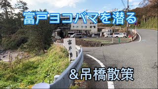 伊豆半島　城ヶ崎海岸を陸と海から堪能