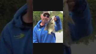 Spinnerbaits for BIG CRAPPIE