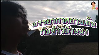 บรรยากาศยามเย็นกับข้าวบ้านนา EP.1#บรรยากาศ #บ้านนอกคอกนา