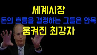 세계시장을 줘락펴락하는 세계 금융사