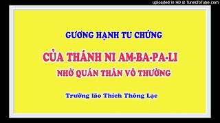 Gương Hạnh Tu Chứng của Thánh Ni AMBAPALI nhờ thực hành Quán Thân Vô Thường