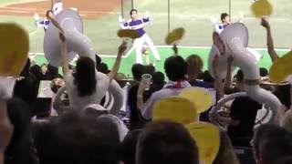 【4K】【Funny】【Festival?】Japanese baseball cheer squad☺