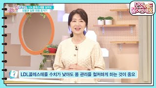 LDL 콜레스테롤이 낮으면 심혈관 질환 발생 위험이 높다?! 고지혈증에 대한 OX 퀴즈! [무엇이든 물어보세요] | KBS 230616 방송