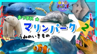 【あつまれ 海の生き物 】マリンパークへ行こう！part2 水族館で人気のうみのいきものやお魚さんたちが20種登場するよ♪シャチ マンタ ジンベエザメ【子供向け 水族館アニメ】