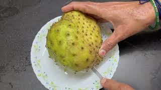 Lets Cut Soursop Fruit | Guanabana | Graviola