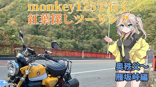 【モトブログ】#19　紅葉探し241020 奥秩父・雁坂編【monkey125】#monkey125  #ツーリング #山梨県 #雁坂トンネル #広瀬ダム #voicevox #紅葉