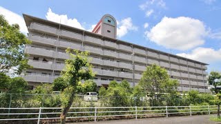 奈良県橿原市で賃貸をお探しの方は【ならすも】リアライズ八木601　大和八木駅　２ＬＤＫ