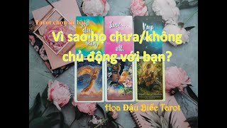 VÌ SAO HỌ CHƯA/KHÔNG CHỦ ĐỘNG VỚI BẠN? Tarot chọn tụ bài #tarot #hoadaubiectarot #healing #oracle