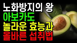 노화방지의 왕, 아보카도의 놀라운 효능과 올바른 섭취법