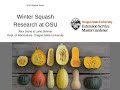 Winter Squash Research at Oregon State University