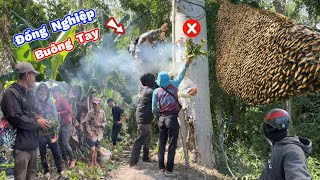 TAY NẠN Nghề Nghiệp Gặp Sự Cố Cây Gòn 30m Bị Rơi Cây Đuốt.OCCUPATIONAL ACCIDENTS Cotton Tree Acciden