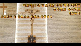 파도바의 성 안토니오 사제 학자 기념일 성무일도 독서기도 제2독서