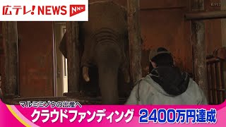 マルミミゾウ「メイ」出産などの費用　安佐動物公園のクラウドファンディングが目標達成　広島