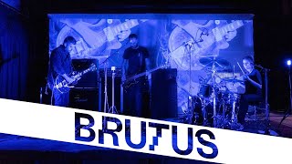 Brutus — Victoria | StuBru LIVE LIVE | Studio Brussel