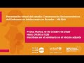 Consideraciones jurídicas ley regula la interrupción voluntario del embarazo en casos de violación