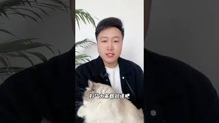 养猫最傻的，四种行为。养猫经验分享 科学养宠攻略 养猫人 宠物滴耳液 新手养猫