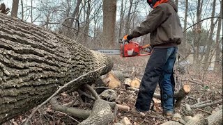 Husqvarna 55 Cutting Firewood