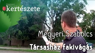 Társasházi kerthasználat - Társasház fakivágás - Társasház kertészeti szakértő