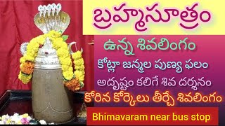 బ్రహ్మసూత్రం ఉన్న శివలింగం Bhimavaram near bus stop #bhimavaram #lordshiva