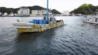 養殖魚の餌