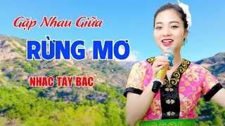 Gặp Nhau Giữa Rừng Mơ - Nhạc Tây Bắc Chọn Lọc Hay Nhất 2024 Nghe Cực Phê - Ngọc Khánh