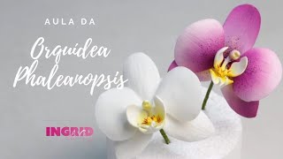 Orquídea Phaleanopsis em Biscuit - Ingrid La Cruz