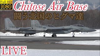 Chitose Air Base 闘う北国のヒグマ達　＃千歳基地 ＃第2航空団 ＃第6航空団 ＃F15戦闘機 ＃政府専用機 ＃LIVE