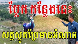 ប្លែកណាស់កន្លែងនេះ សត្វស្លូតប្រែជាមានអំណាចភ្លាមៗមួយរំពេច