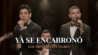 Enrique Iglesias, Juan Luis Guerra - Cuando Me Enamoro | PARODIA "Ya se encabronó"