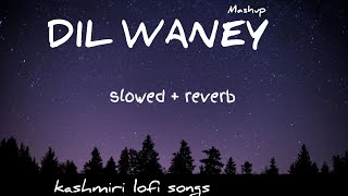 𝗗𝗜𝗟 𝗪𝗔𝗡𝗘𝗬  [ Slowed + Reverb ] -Anu Anaf | Lofi songs kashmiri loFi songs