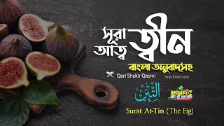 095) সূরা আত-ত্বীন | التين অনুবাদ  Surah At Tin (The Fig) | Qari Shakir Qasmi | mahfuz art of nature