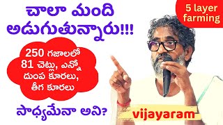 250 అడుగులలో 33 వేలకి పైగా ఆదాయం|| 81 చెట్లు, ఎన్నో రకాల దుంప, తీగ కూరలు||ఇది రైతుల ATM సెంటర్