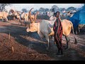 diar ke gualei singing their traditional songs