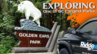 Explore the Majesty of Golden Ears Provincial Park, BC, Canada