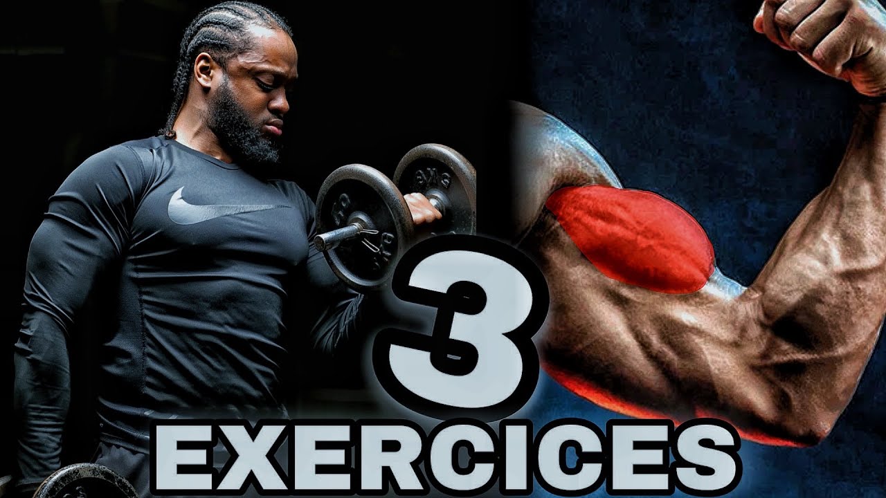 Comment Avoir Des Gros Biceps Mes 3 Exercices Youtube