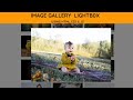 How To  Create Image Gallery Using HTML , CSS & Javascript | Lightbox Gallery tutorial