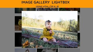 How To Create Image Gallery Using HTML , CSS & Javascript | Lightbox Gallery tutorial