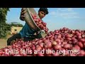 25.களத்து மேடு.onion falls and the regimes.வெங்காயத்தால் வீழ்ந்த ஆட்சிகள்