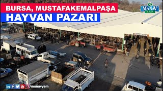 Bursa Mustafakemalpaşa Hayvan Pazarı