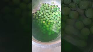 Food Adulteration- Green Coloured Peas ❌️❌️ Eat Healthy !! #adulteration #greenpeas