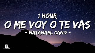 [1 HOUR] Natanael Cano - O Me Voy O Te Vas (Letra/Lyrics) Loop 1 Hour