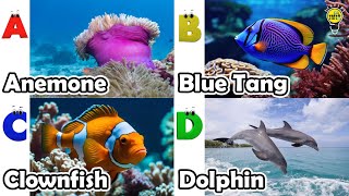 ABC phonics animals | ABC Sea Animals song | English and Animals for Kids | Alphabets Kids Song