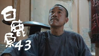 白鹿原 | White Deer 43【DVD版】（張嘉譯、秦海璐、何冰等主演）