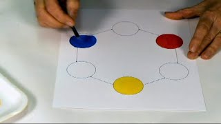 Learn about primary and secondary colors