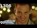Degrassi: The Next Generation 1306 | Cannonball