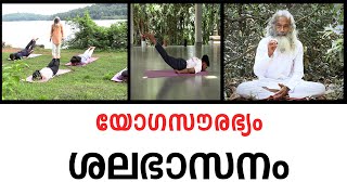 ശലഭാസനം I YOGA SOURABHYAM I SALABASANAM