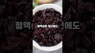 크랜베리의 놀라운 효능, 섭취법, 주의사항 #건강