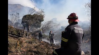 DBV red beseerde wilde diere na brand in Kaapstad